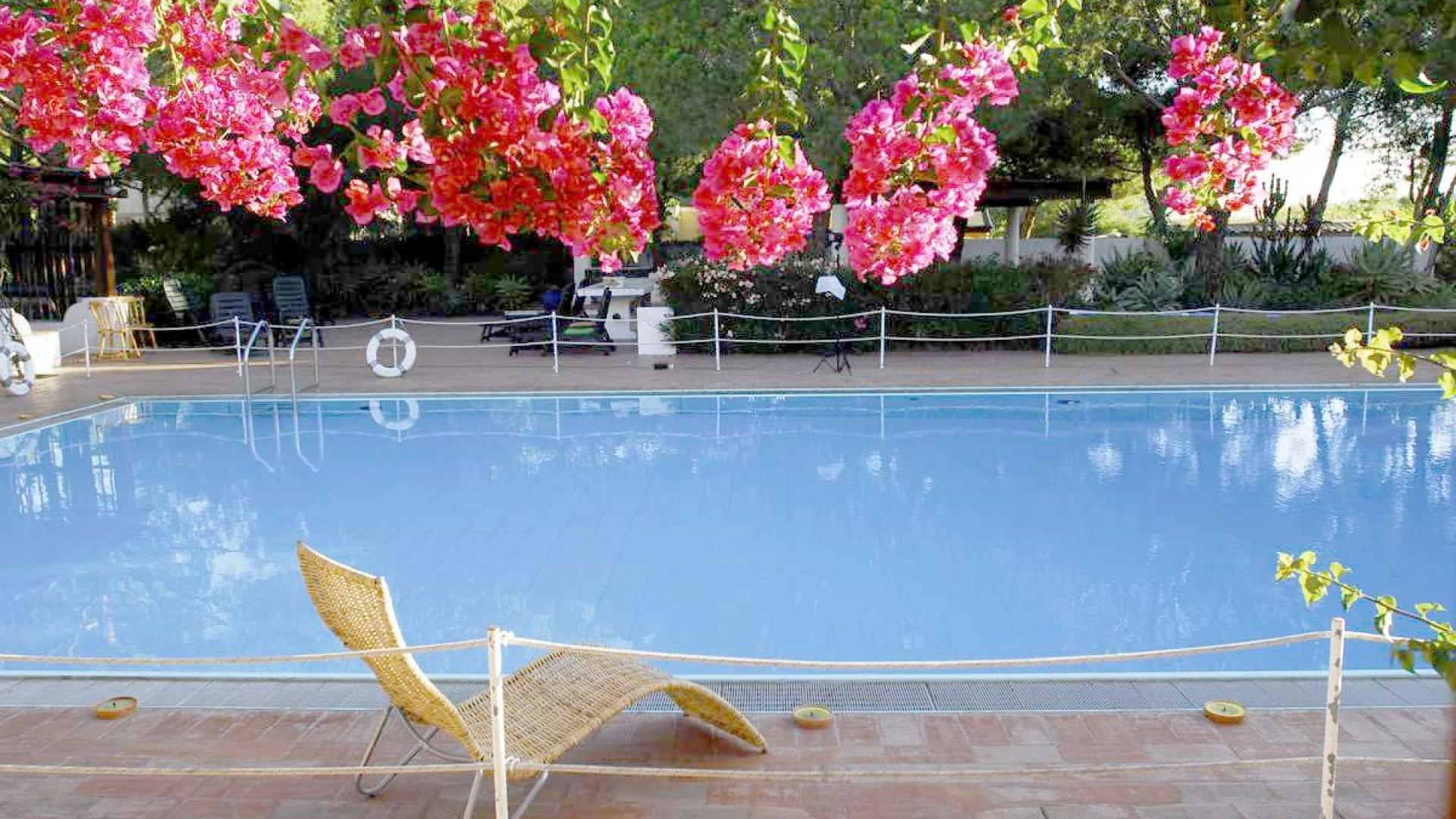 Piscina tranquilla, fiori rosa vibranti, relax estivo sotto alberi verdi.