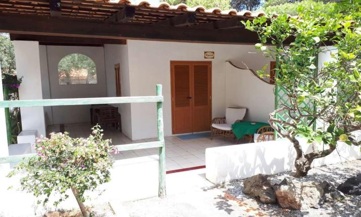 Veranda accogliente, sedie di vimini, fiori e alberi, atmosfera rilassante e naturale.