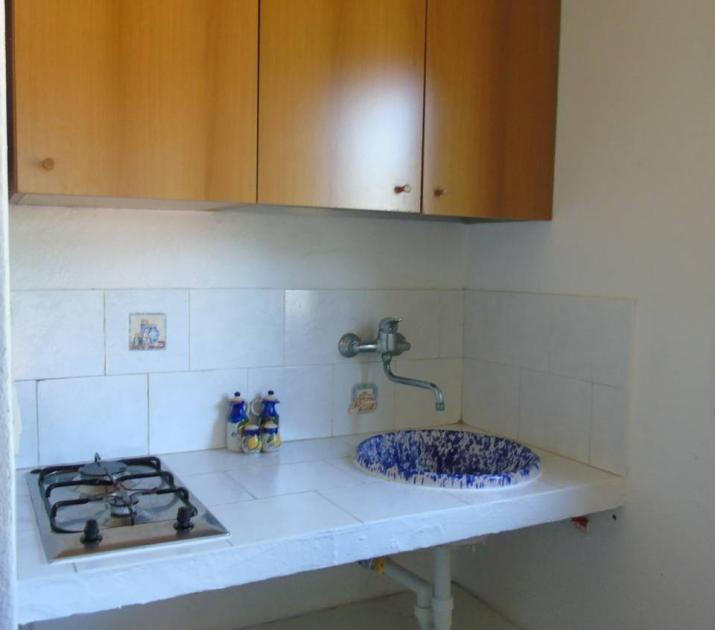 Cucina semplice, lavandino blu artistico, fornelli, armadietti in legno, atmosfera accogliente e luminosa.