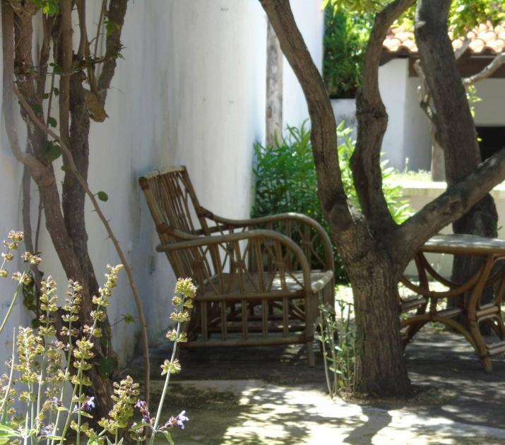 Sedia e tavolo in vimini sotto alberi, atmosfera rilassante e ombreggiata in giardino soleggiato.