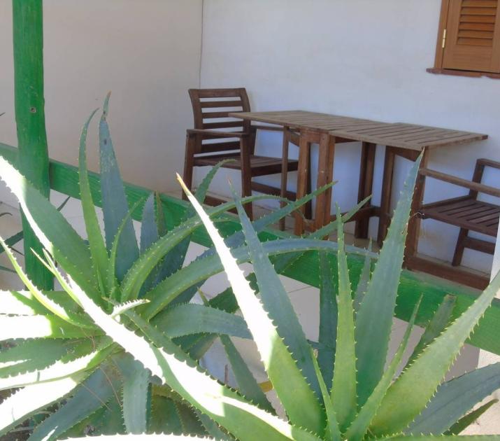 Aloe verde brillante davanti a un'accogliente veranda con mobili in legno.