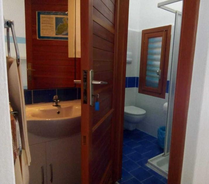 Bagno accogliente, piastrelle blu, doccia, lavabo e finestra luminosa, atmosfera serena e pulita.